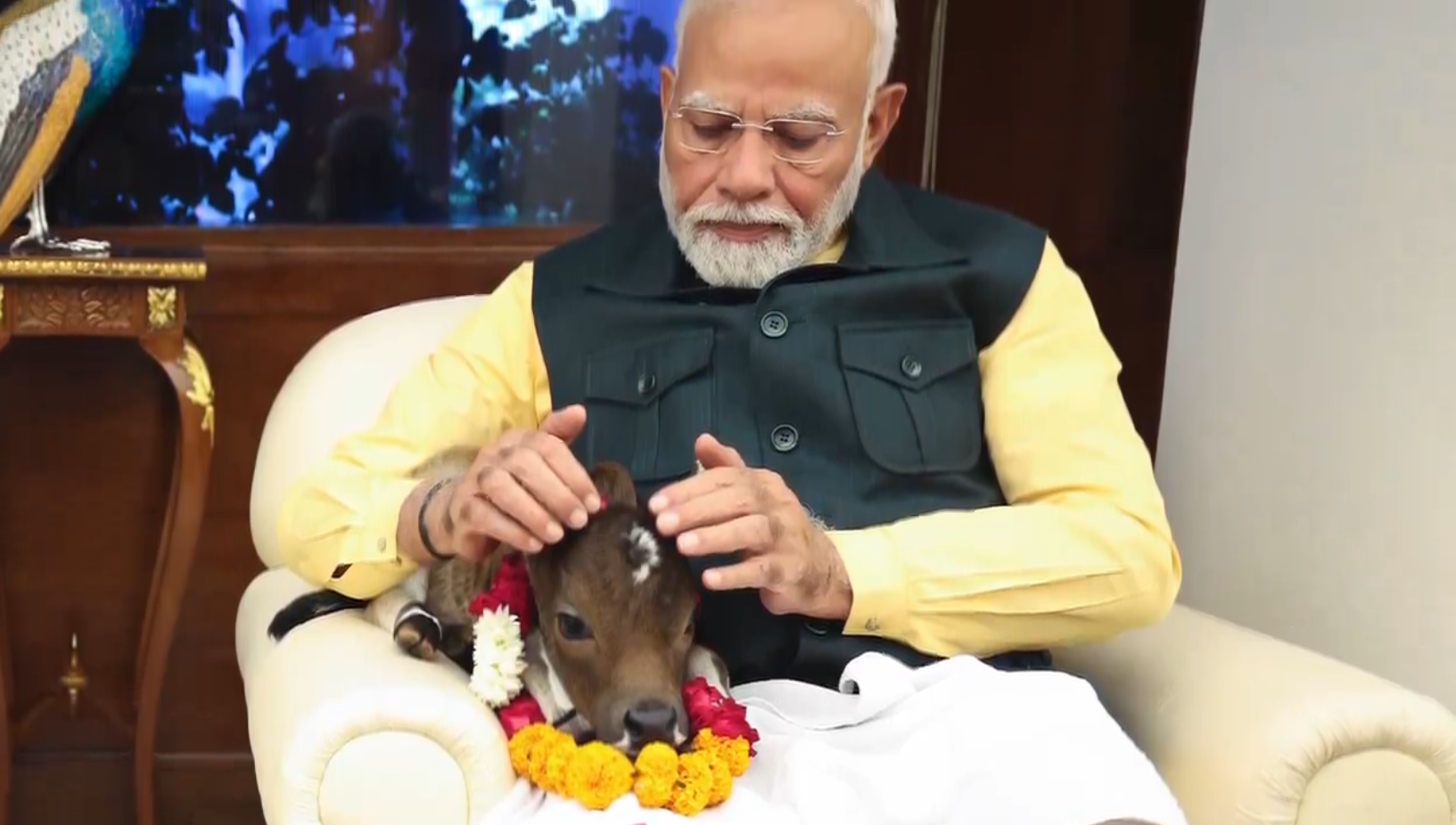 मोदींच्या घरात खास पाहुण्याचं आगमन…..