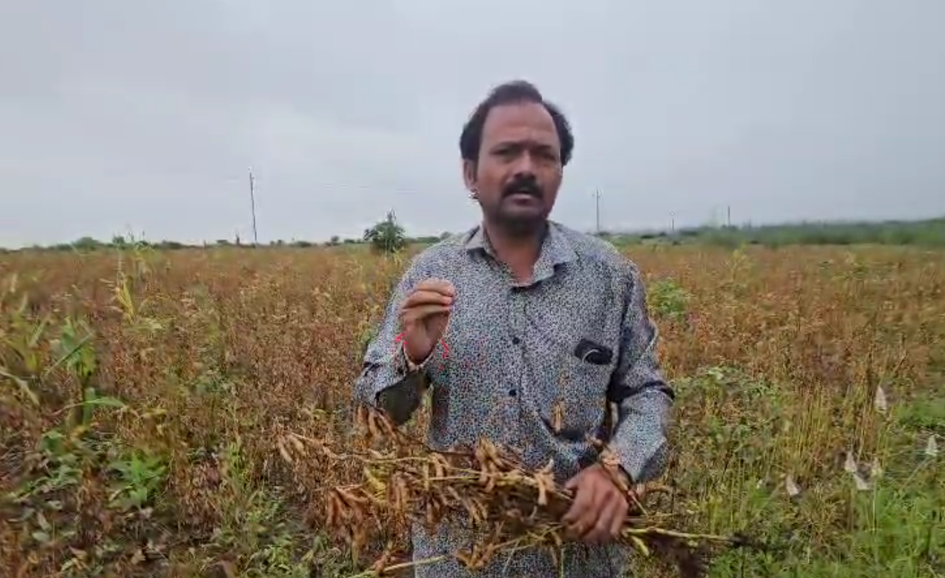 बार्शी तालुक्यात रात्रभर झालेल्या मुसळधार पावसामुळे सोयाबीन पिकाला बसला मोठा फटका….